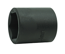 Phosphate Socket